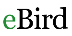 Ebird logo.png