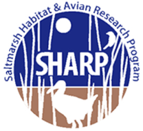 Sharp-logo.png