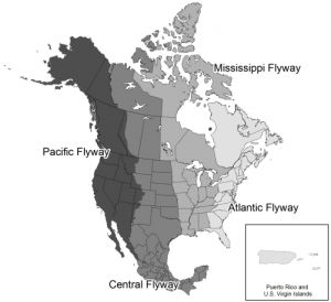 State and Province Flyways